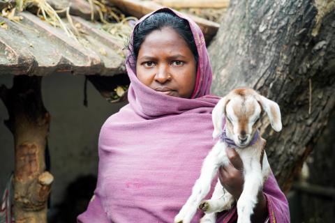 Goat Farming